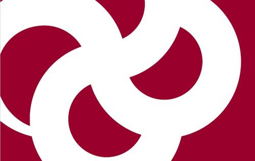 Rapport de gestion 2021