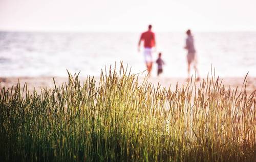 Senkung des Beitragssatzes der Kantonalen Ausgleichskasse für Familienzulagen